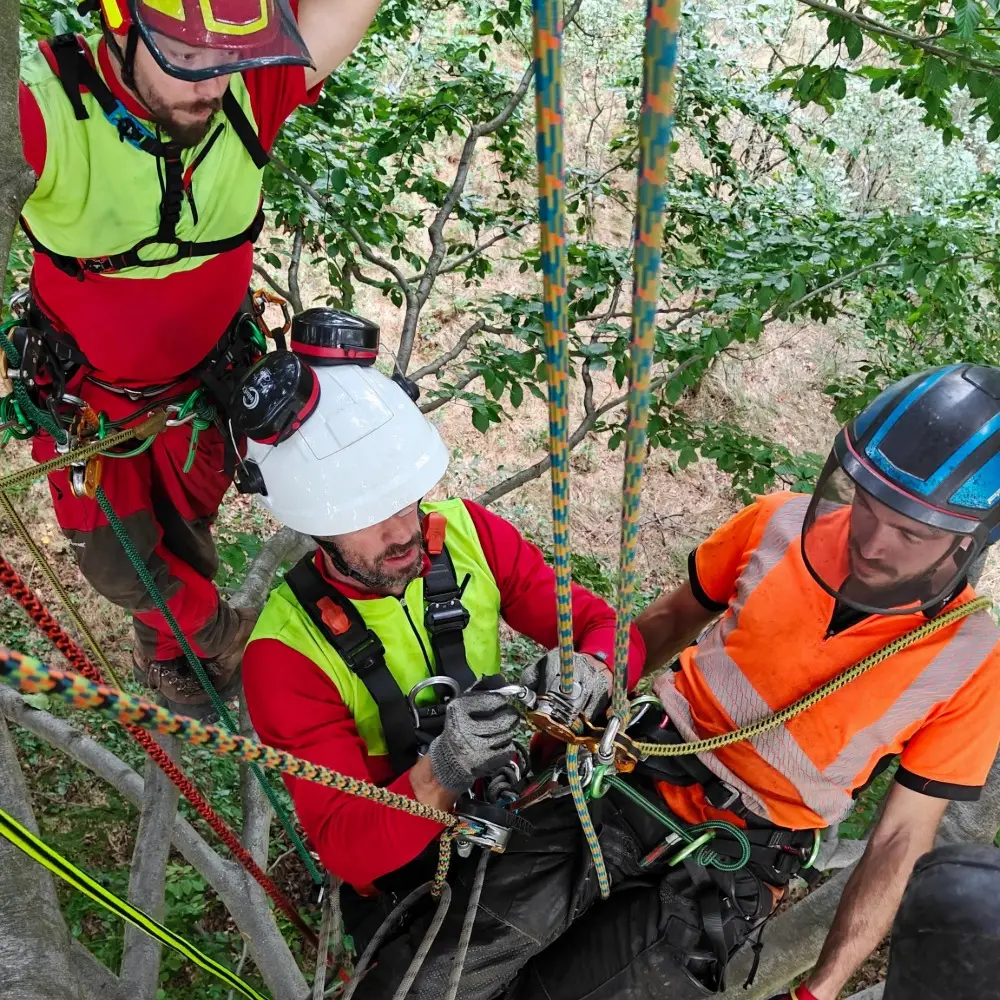 Arboristanámskeið A1,Klifur, björgun og notun á handsög í trjám